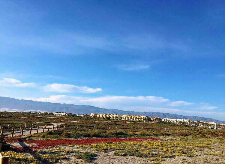Apartamento Lujo, Primera Linea Playa, Garaje, Wifi, Piscina Climatizada Roquetas de Mar Dış mekan fotoğraf